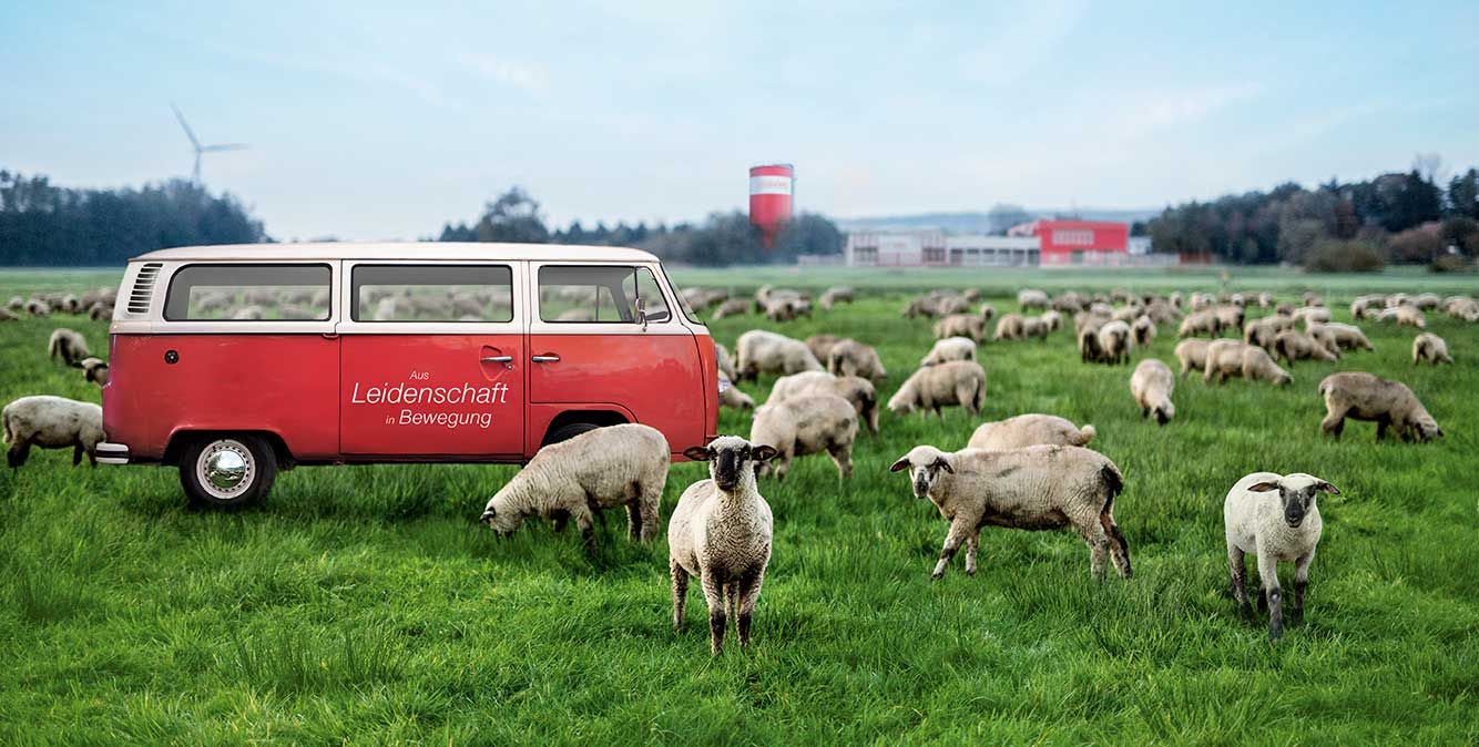 Rotes Fahrzeug auf einer Wiese mit Schafen