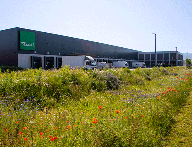 Gebäude von Streit Service & Solution in Gengenbach